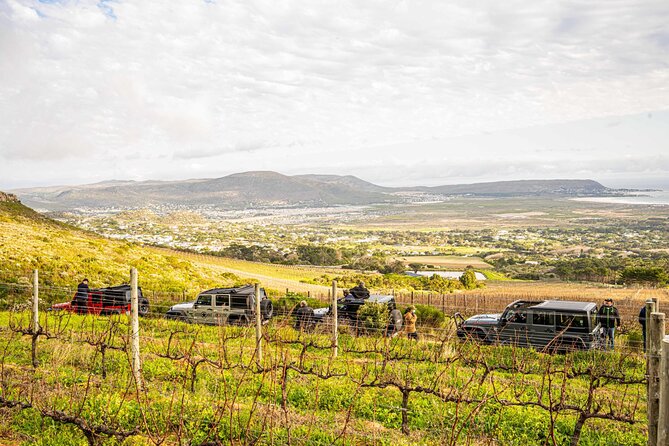 Half day Peninsula & Wine Combo tour - What the private Jeep format changes