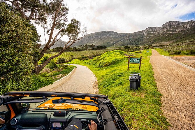 Half day Peninsula & Wine Combo tour - The return over Ou Kaapse Weg