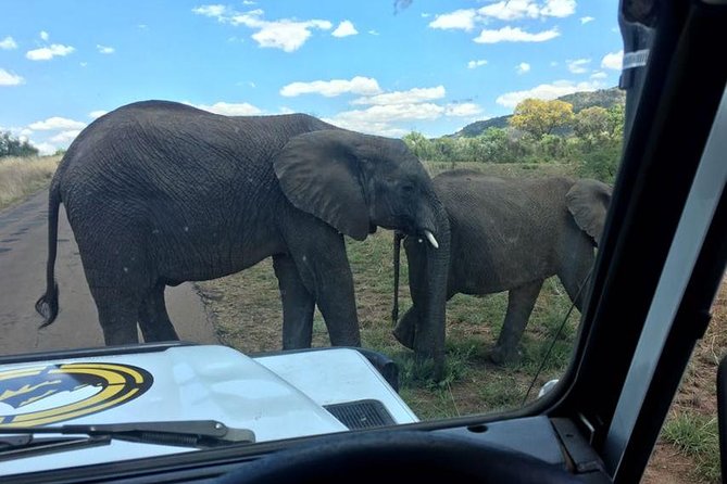 Half day safari from johannesburg - Arriving at Dinokeng Game Reserve
