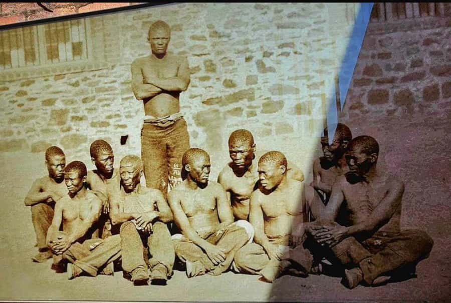 Half Day Soweto and Apartheid Museum Guided Tour - Two hours at the Apartheid Museum