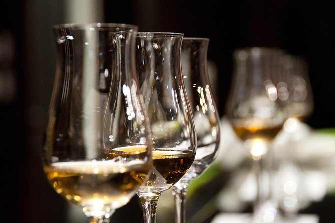Half-Day Stellenbosch Winelands Tour from Cape Town - What the guide contributes