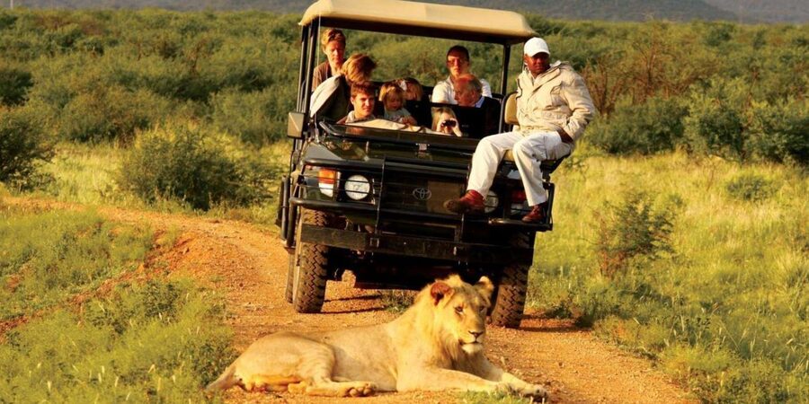 Half Day Tala Game Reserve & Natal Lion Park from Durban - Weather, comfort, and the limits of a half-day safari
