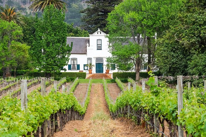 Half Day Wine Tour from Cape Town - Key points to know before booking