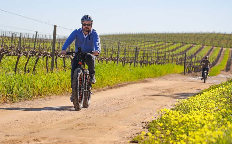 Half-Day Winelands E-Bike Tour with Wine Tasting - Why this Winelands ride is more than a winery transfer
