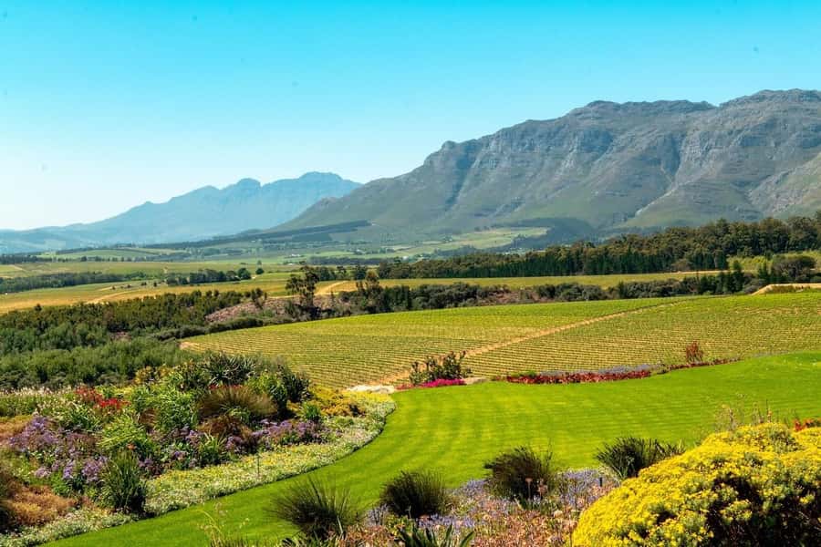 Half-Day Winelands E-Bike Tour with Wine Tasting - Getting comfortable with the e-bike