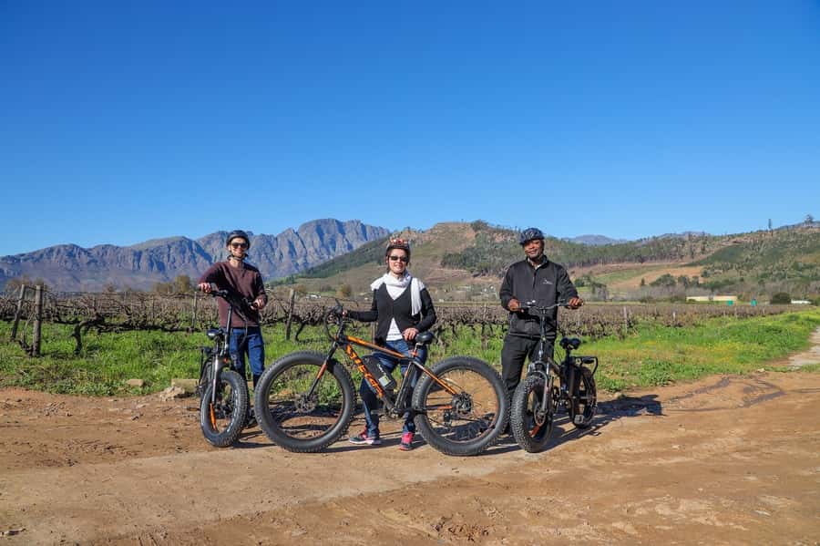 Half-Day Winelands E-Bike Tour with Wine Tasting - Guide style and group feel