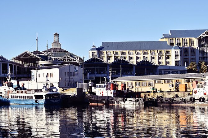 Half Hour Seal and Harbour Cruise from Cape Town - Why families find the ride easy