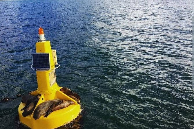 Half Hour Seal and Harbour Cruise from Cape Town - Choosing your seat and preparing for the weather