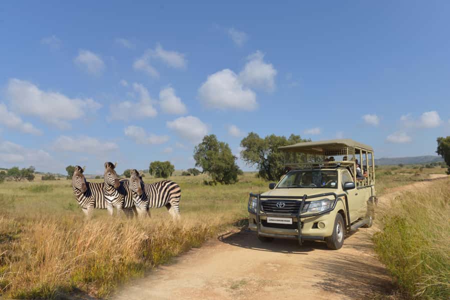 Hartbeespoort: Lion and Safari Park Tour - Key points to know before you go