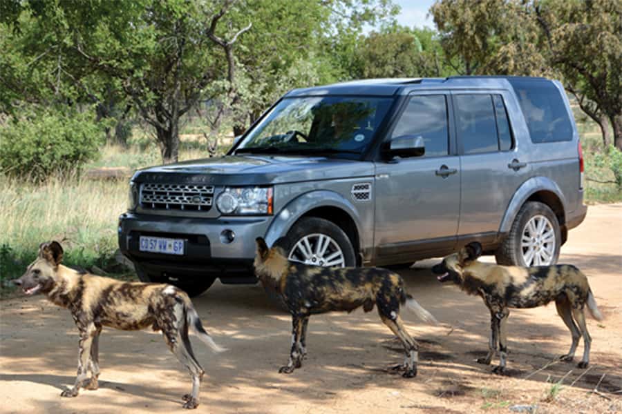 Hartbeespoort: Self-Drive Lion and Safari Park Tour - Starting at the ticket office