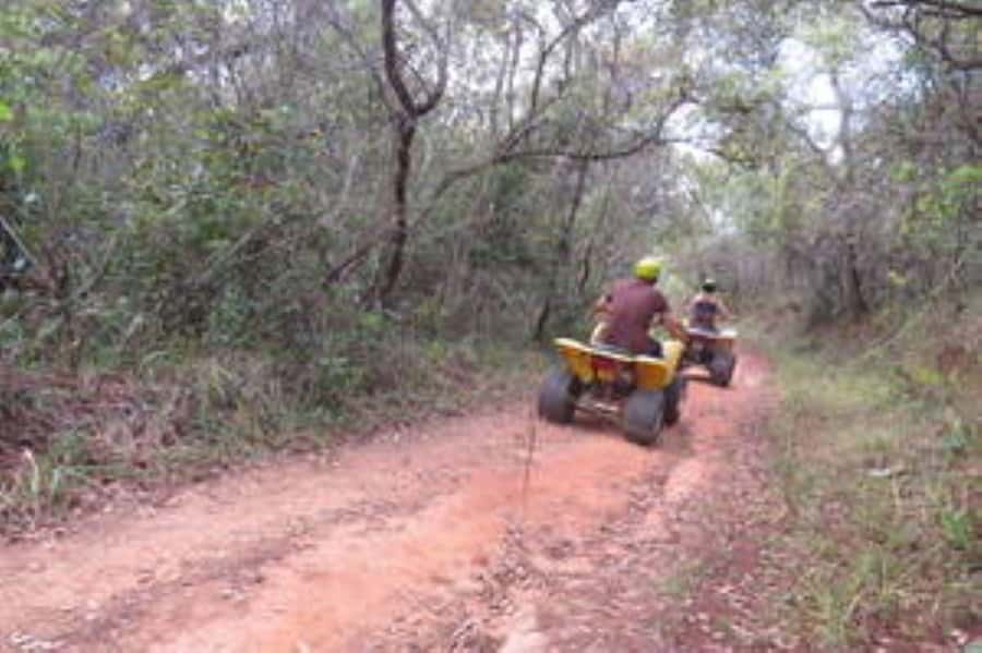 Hazyview : 30 minutes Quad Ride - Riding from the Sabie River into the forest