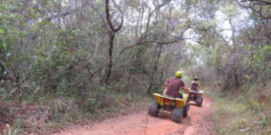 Hazyview : 30 minutes Quad Ride - Why the five-person limit matters