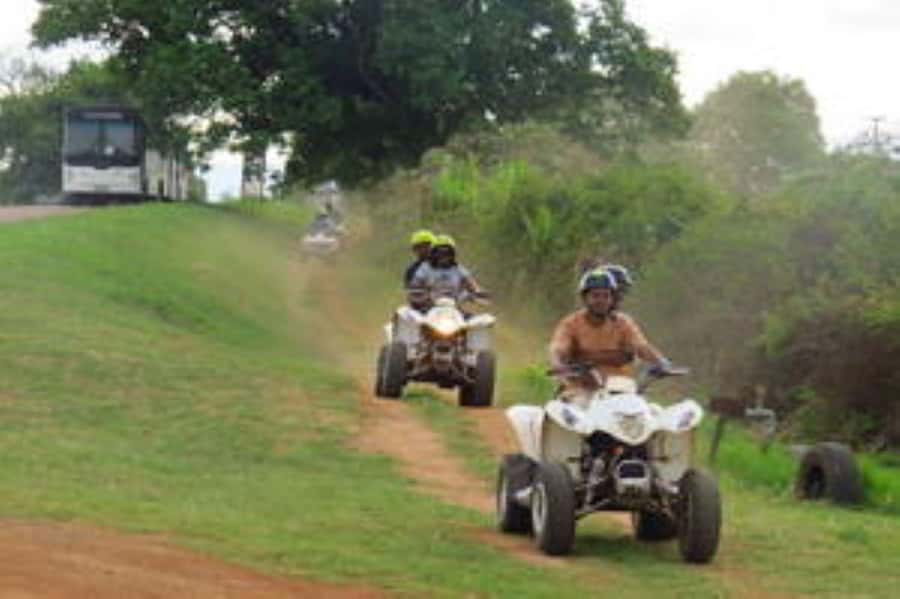 Hazyview: Guided Macadamia Plantation and Forest Quad Safari - Key points to know before you book