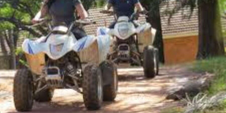 Hazyview: Guided Macadamia Plantation and Forest Quad Safari - Forest trails and the Sabie River