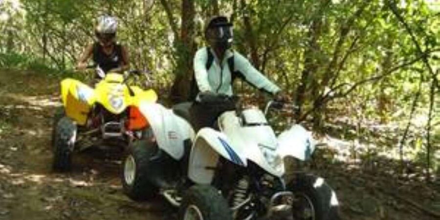 Hazyview: Guided Macadamia Plantation and Forest Quad Safari - Clothes, weather, and the practical side of riding