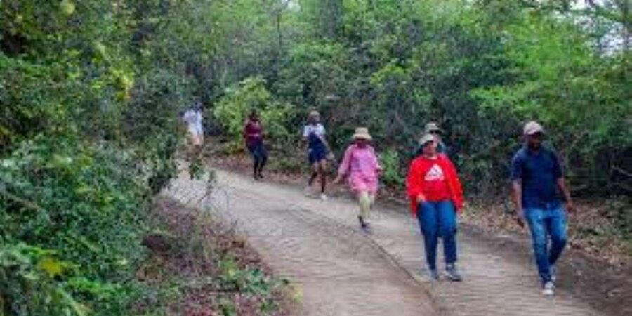 Hazyview : Sabie River Hiking Trail 12km - Who will enjoy this hike most?