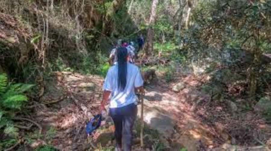 Hazyview : Sabie River Hiking Trail 12km - Choosing between 6km, 8km, and 12km