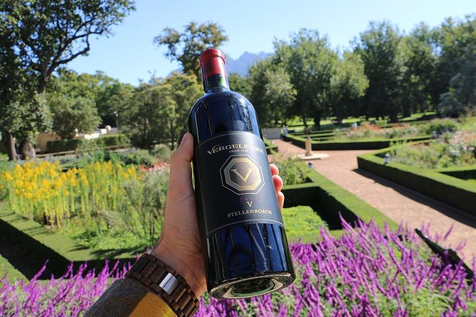 Helderberg Valley Winelands Day Tour with Private Transfer - Morning at Morgenster, where wine meets olive oil