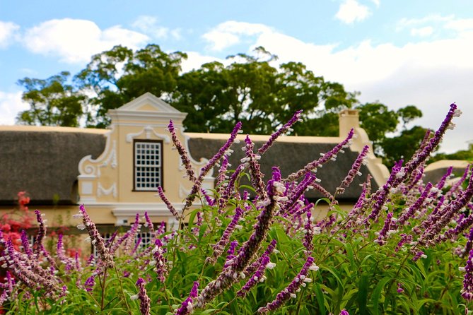 Helderberg Valley Winelands Day Tour with Private Transfer - What the private format really adds