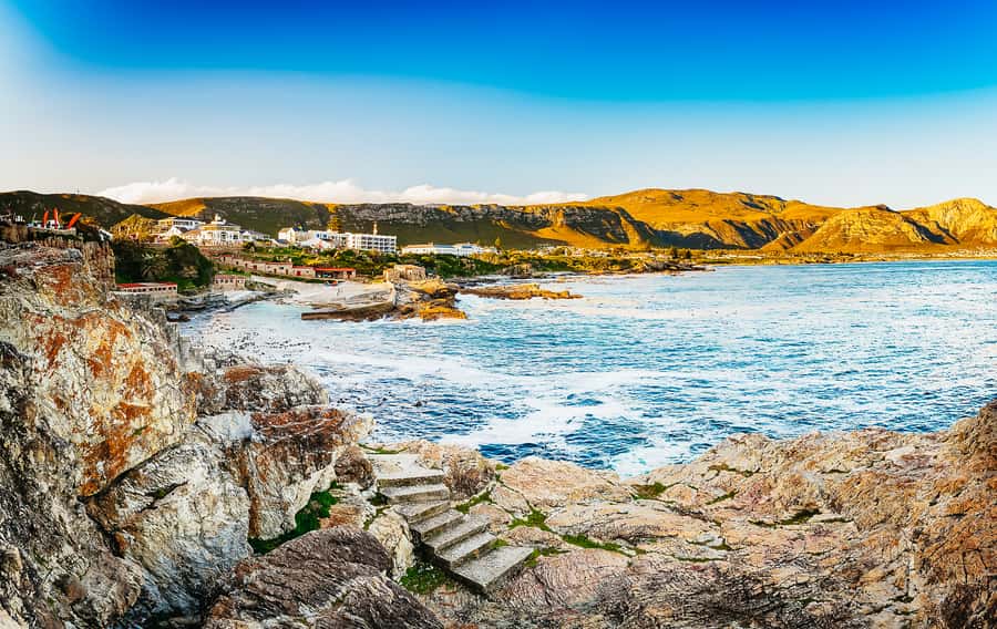 Hermanus: Whale and Dolphin Watching Boat Trip - What the two-hour ride feels like
