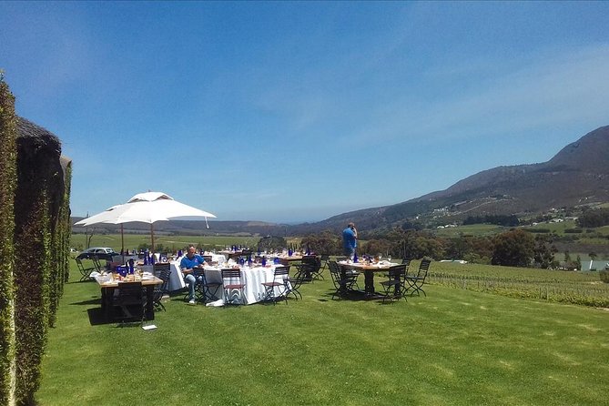 Hermanus Whale Coast Wine Tour (Cape To Grape Wine Tours) - Why the Hermanus route makes a good wine day