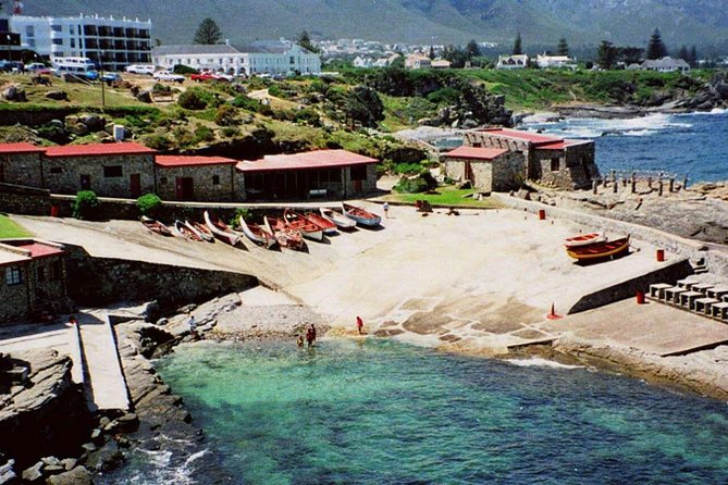 Hermanus Whale Coast Wine Tour (Cape To Grape Wine Tours) - Bouchard Finlayson adds a cellar visit