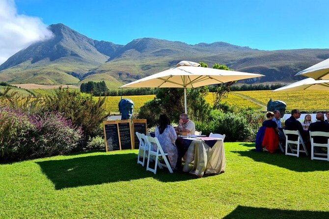 Hermanus Whale Watching and Wine Tasting Private Tour - Returning by Clarence Drive