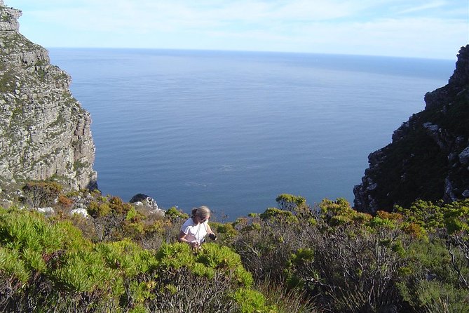 Hike off the beaten track on Table Mountain - Choosing between Pipe Track and Kasteelspoort