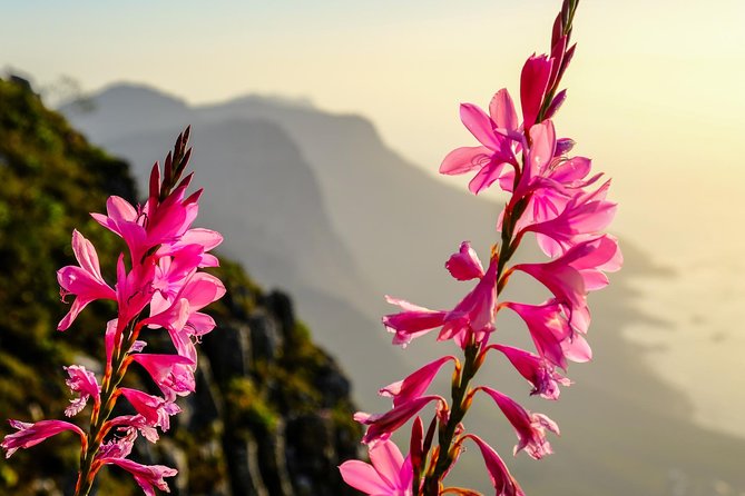 Hike Table Mountain via the India Venster trail - Three sides of the mountain, one famous Window