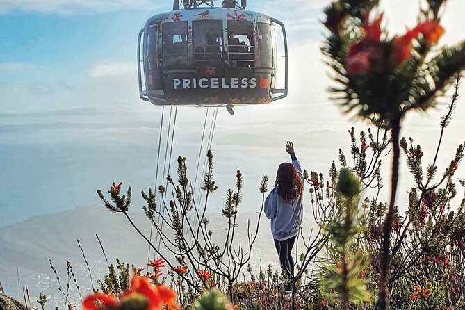 Hike Table Mountain with a Guide - Choose Route - Fitness, equipment, and family suitability