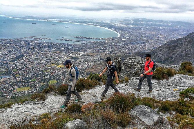 Hike Table Mountain with a Guide - Choose Route - Who should book this Table Mountain hike
