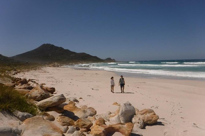 Hiking Cape of Good hope, Cape Point & Penguins Private Full Day - The Platboom Beach hike
