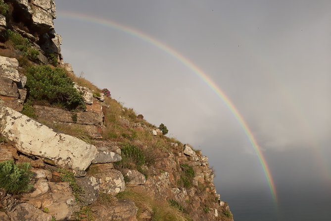 Hiking Lion's Head for sunrise, coffee & hotel Pick-up & Drop off - Who should book this hike