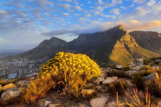 Hiking Lion's Head Sunrise or Sunset - How much value do you get for $70.13?