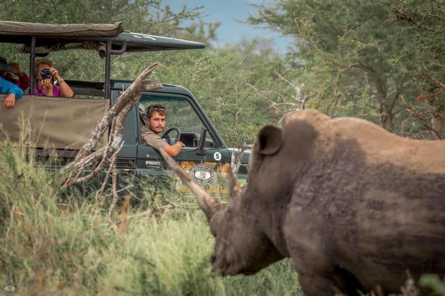 Hluhluwe-Imfolozi: Big 5 Full or Half-Day Safari - Inside the park with a ranger