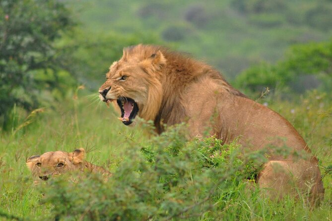 Hluhluwe-Imfolozi Park Full Day Big 5 Safari Tour - Open-air vehicles, blankets, and photography
