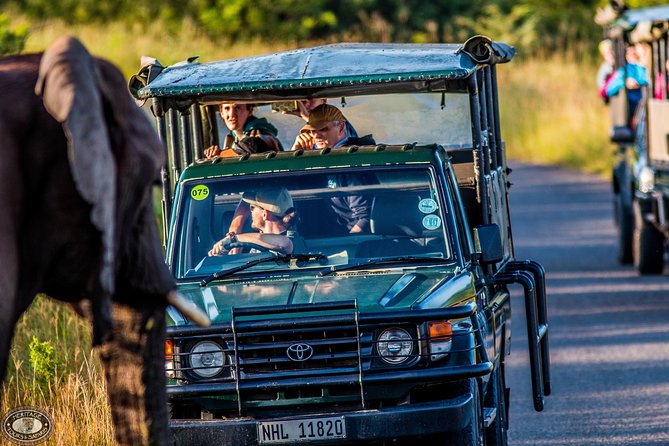 Hluhluwe-Imfolozi Park Full Day Big 5 Safari Tour - Searching for the Big Five and beyond