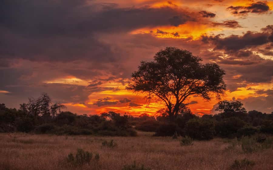 Hluhluwe-iMfolozi Park - Open Safari Vehicle Game Drives - Why Hluhluwe-iMfolozi deserves a full day
