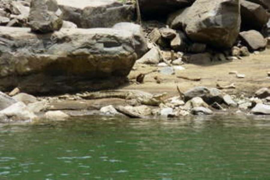 Hoedspruit: Blyde River Canyon Dam Boat Cruise - Why the Blyde Dam view is worth your time