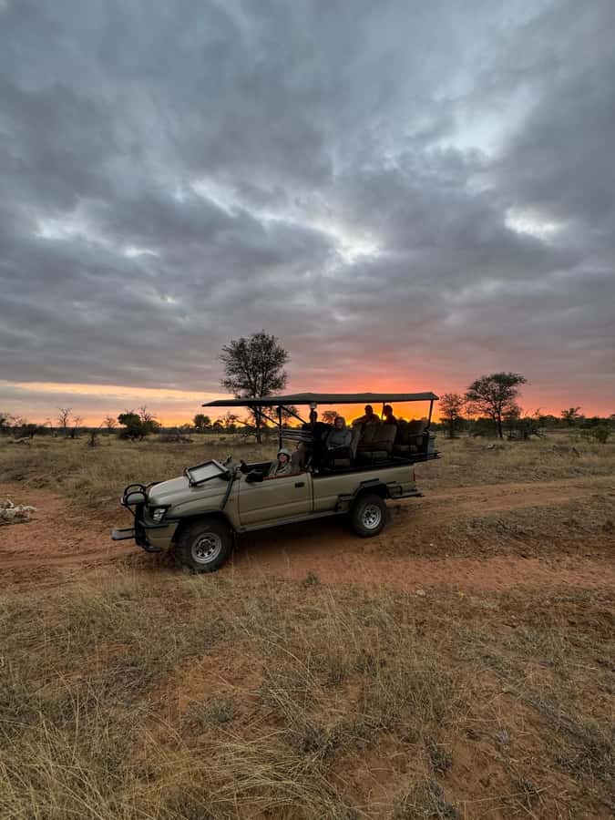 Hoedspruit: Dinner in the Bush & Safari Game Drive - Key points to know