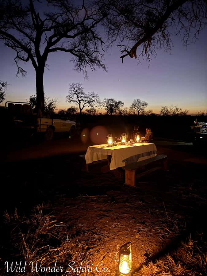 Hoedspruit: Dinner in the Bush & Safari Game Drive - From Hoedspruit Town to the Greater Kruger