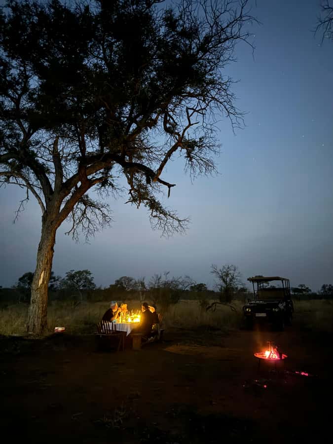 Hoedspruit: Dinner in the Bush & Safari Game Drive - What the guide adds to the experience