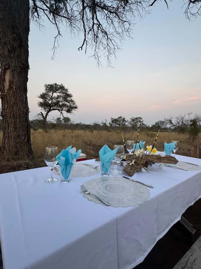 Hoedspruit: Dinner in the Bush & Safari Game Drive - The 2.5-hour safari drive