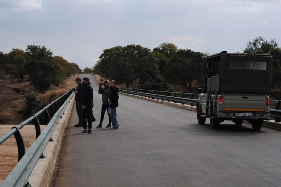 Hoedspruit: Full Day in ICONIC Kruger National Park - Weather, comfort, and the open vehicle