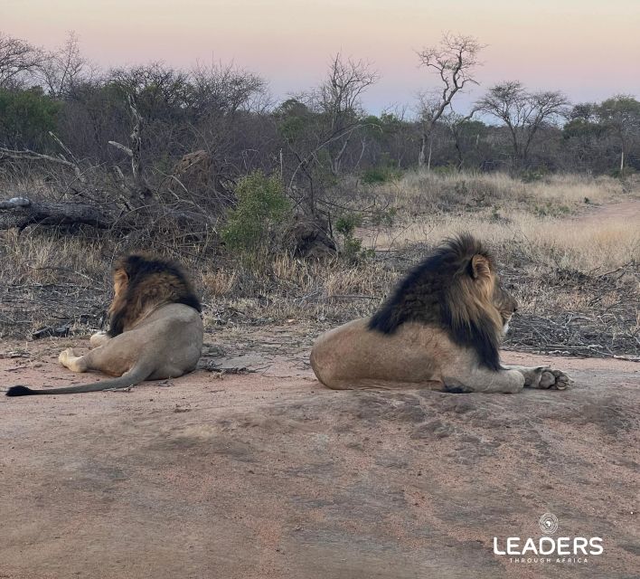 Hoedspruit: Private Kruger National Park Full-Day Safari - Who should book this Hoedspruit safari