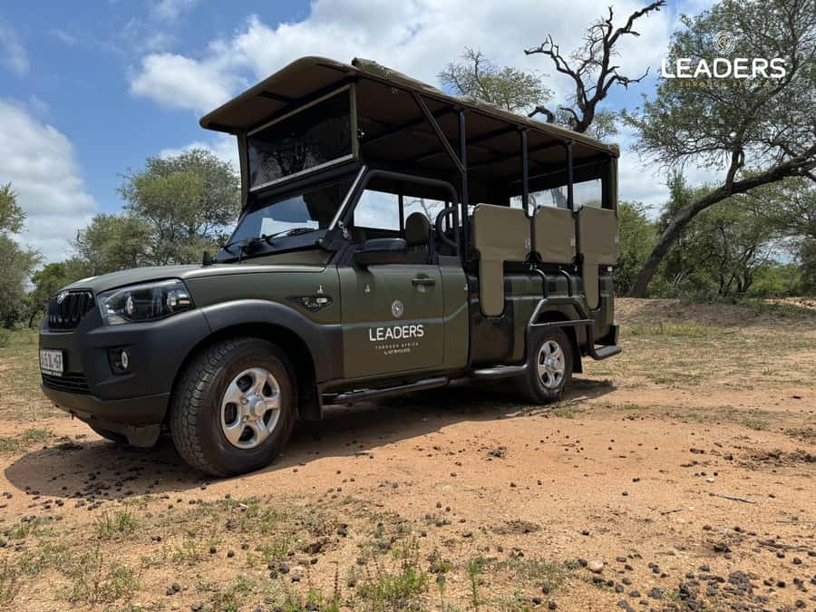 Hoedspruit: Private Kruger National Park Full-Day Safari - The first morning hours and your hot drink stop