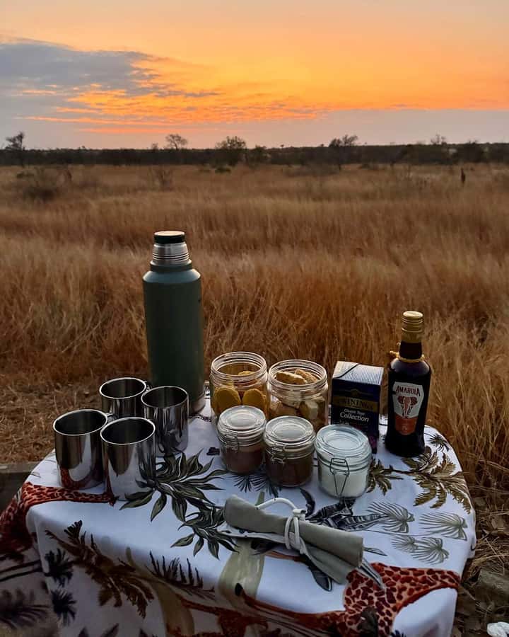 Hoedspruit: Sunrise Safari in Greater Kruger Private Reserve - What the private reserve changes