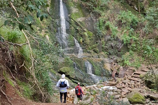 Incredible Table Mountain Guided Day Hike or Trail Run - A half-day route that changes with your goal