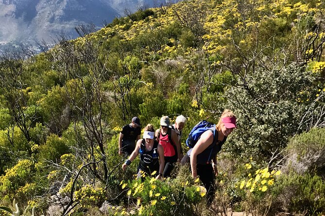 Incredible Table Mountain Guided Day Hike or Trail Run - Who will get the most from this outing