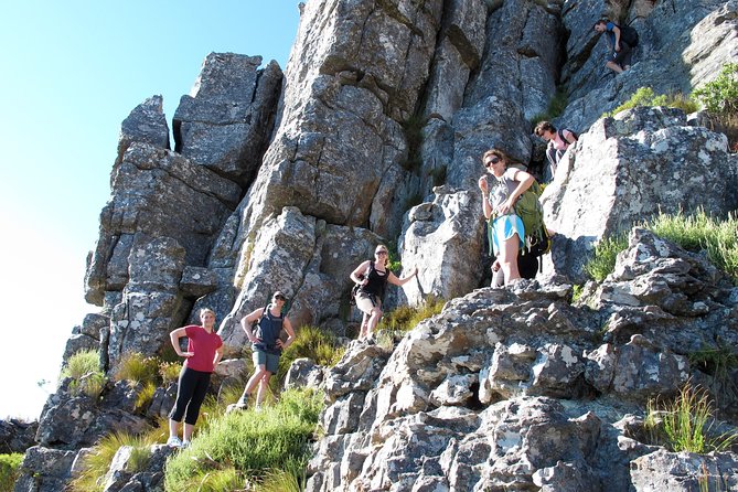 India Venster Route: Hiking in Table Mountain from Cape Town - The guide adds more than route directions